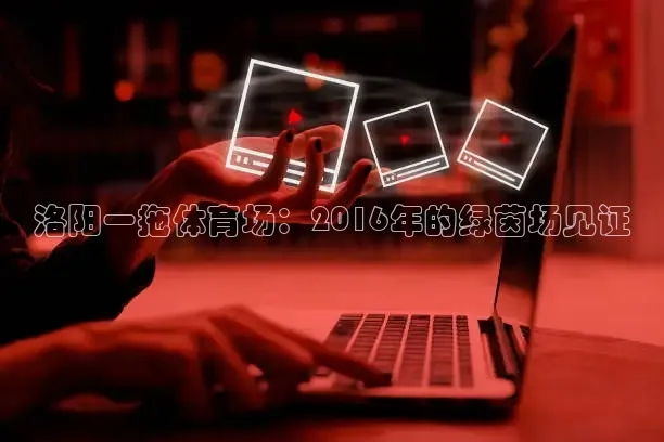 鲸鱼看球直播